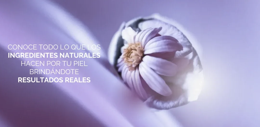 Ingredientes naturales, resultados reales: La filosofía de belleza de Eberlin