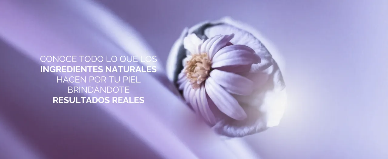 Ingredientes naturales, resultados reales- La filosofía de belleza de Eberlin