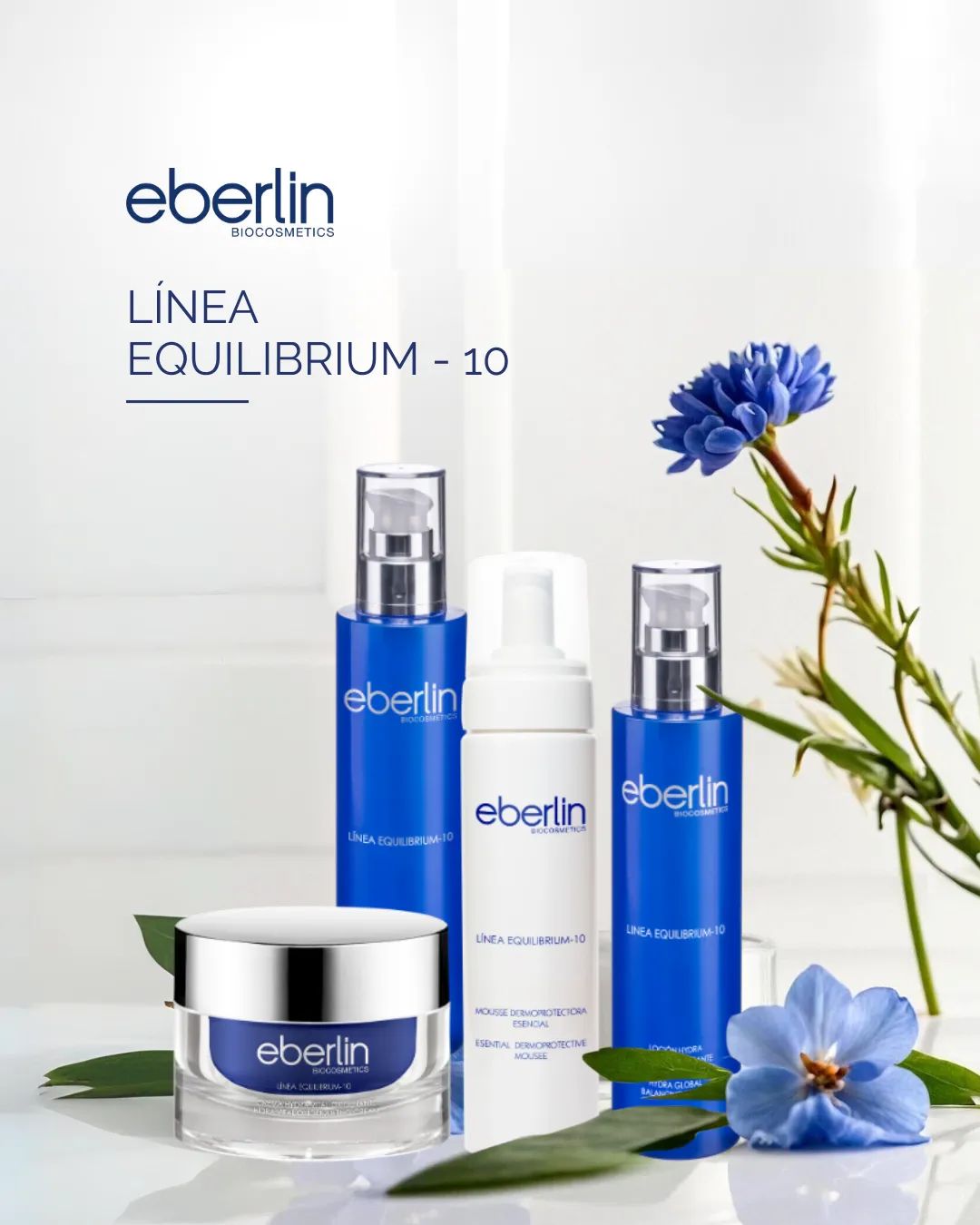 equilibrium 10